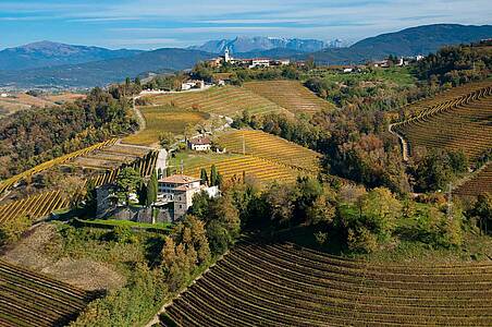 Olivenöl und Wein: Das Collio trifft auf den Karst